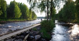 Galeriebild der Unterkunft Hotelli Kainuu in Kuhmo