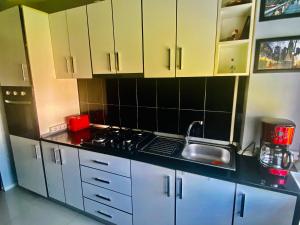 a kitchen with white cabinets and a sink at Cozy Central Place in Brăila