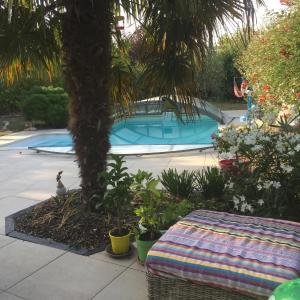 a swimming pool with a blanket next to a palm tree at Le chemin de la Loire in Amboise