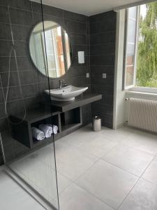 a bathroom with a sink and a mirror at Hôtel des Cymaises in Semur-en-Auxois