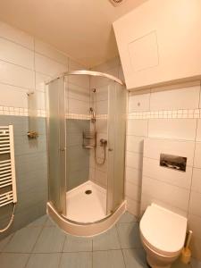 a bathroom with a shower and a toilet at Apartment studio No.314 in Fatrapark1 in Ružomberok