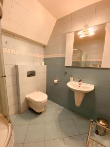 a bathroom with a toilet and a sink at Apartment studio No.314 in Fatrapark1 in Ružomberok +10 photos
