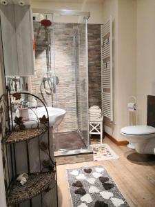 y baño con ducha, lavabo y aseo. en Country Home B&B Il Melo, en Vicenza