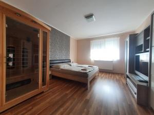 um quarto com uma cama e uma televisão num quarto em Csillagfény Apartment em Eger