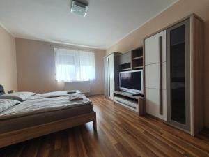 um quarto com uma cama e uma televisão de ecrã plano em Csillagfény Apartment em Eger