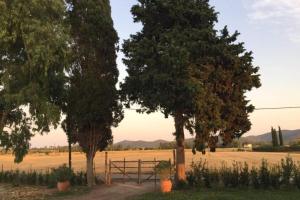 dos árboles y una valla en un campo en Azienda Agricola Maremma Bio, en Marsiliana