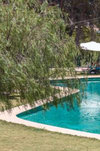 Bazén v ubytování Hotel Serawa Moraira nebo v jeho okolí