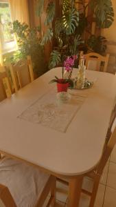 Fotografie z fotogalerie ubytování Apartments Žegarac House v destinaci Korenica