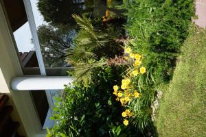 A garden outside Residence Rivachiara (check-in at Hotel Riviera in Viale Rovereto, 95)