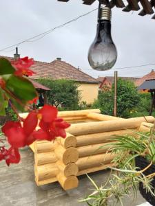 Billede fra billedgalleriet på Becze Vanda kulcsosház i Lăzarea + 21 billeder