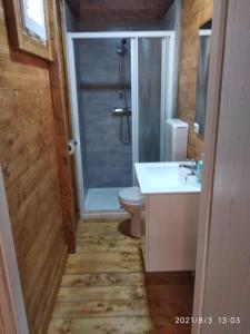 a bathroom with a shower and a toilet and a sink at Camping Borghetti in Ortona