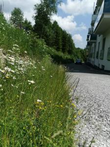 Príroda v okolí apartmánu