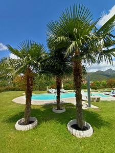 two palm trees in front of a swimming pool at B&B Terra Di Liguria in Casarza Ligure