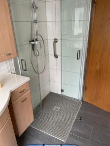 a bathroom with a shower with a glass door at Erlenstr. 17 35410 Hungen in Hungen