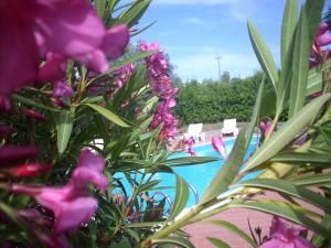 Piscina de la sau aproape de azienda agrituristica Allumiere