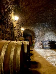 Gallery image of Hotel Slavova Krepost in Melnik