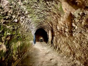 Gallery image of Hotel Slavova Krepost in Melnik