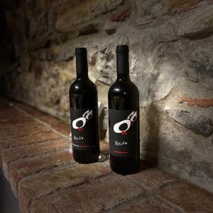 Gallery image of Pizzulin - Wine & Living in Prepotto