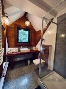 シュクラルスカ・ポレンバにあるWysoka 5のバスルーム(洗面台、トイレ付)