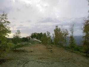 ein Haus auf einem Hügel mit Bäumen in der Unterkunft CASA RURALE IMPASTATO in Montevago