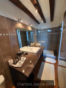 La salle de bains est pourvue d'un lavabo et d'un grand miroir. dans l'établissement LE PRESBYTÈRE DE LA CITE ROYALE DE LOCHES, à Loches