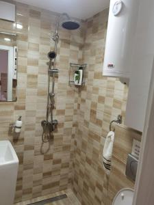 W łazience znajduje się prysznic, toaleta i umywalka. w obiekcie Centar Milena w mieście Arandelovac