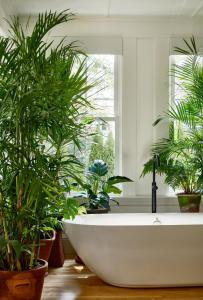 a bathroom with potted plants and a bath tub at AWOL Kennebunkport in Kennebunkport