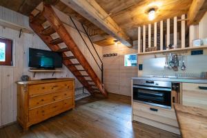 a kitchen with a stove and a tv in a cabin at Holzblockhäuser Fam. Schabus in Hermagor