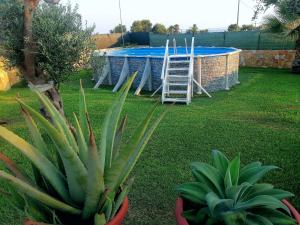 a plant in a yard with a pool and a ladder at Villa Luigi in Torre Pali