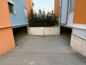 um beco entre dois edifícios com plantas nele em Emma's Apartments em Tirana