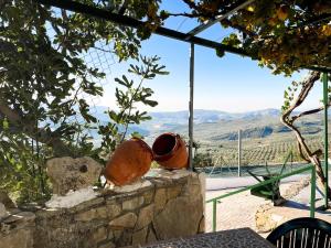 a view of a vineyard from the patio of a house at Cortijo La Viñolilla en zona rural (Montefrío) in Montefrío
