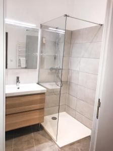 a bathroom with a shower and a sink at La Maison bleue in Arles