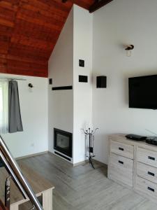 a living room with a fireplace and a flat screen tv at Domek pod Karpaczem in Mysłakowice