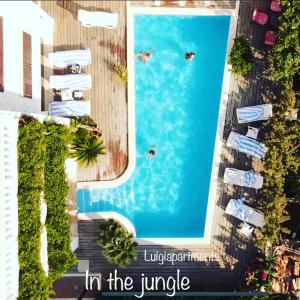 an overhead view of a swimming pool with people in the jungle at Luigi apartments in Dubrovnik