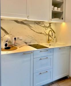 Η κουζίνα ή μικρή κουζίνα στο R.J. Apartamentai. Kunigiškės