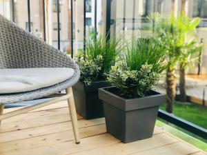 Κήπος έξω από το R.J. Apartamentai. Kunigiškės