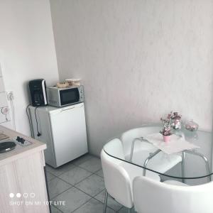 Kuchyňa alebo kuchynka v ubytovaní Studio apartman Valentina