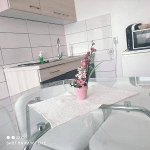 Studio apartman Valentina tesisinde mutfak veya mini mutfak