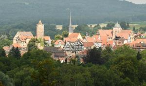 eine Stadt auf einem Hügel mit Bäumen und Gebäuden in der Unterkunft Zauberhaftes Apartment in historischer Burg in Schlitz in Schlitz