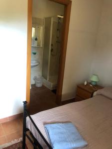 1 dormitorio con 1 cama y baño con ducha en Villa Paradiso en Parenti