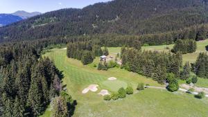 Billede fra billedgalleriet på Chalet Le Plaigny - golf de Méribel i Méribel