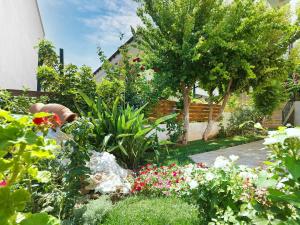 a garden with flowers and plants in front of a house at Markella's House in Vravrona