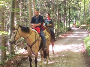 Foto dalla galleria di Agriturismo Parco Del Chiese a bedizzole