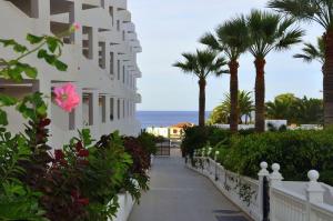 a walkway next to a building with palm trees and the ocean at LosCristianos Front Line of Ocean WiFi in Los Cristianos