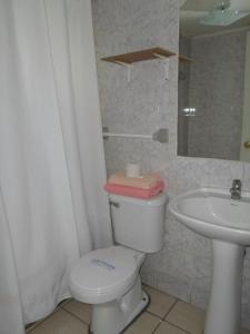 La salle de bains est pourvue de toilettes et d'un lavabo. dans l'établissement Apart Hotel Fx, à Puerto Montt
