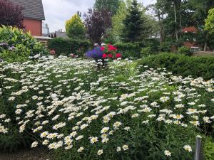 Zahrada ubytování Haus Annegrete mit überdachter Terrasse zum Garten