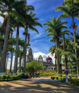 un parque con palmeras frente a un edificio en Hostal Donde Jose en Guadalupe