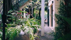 貢布的住宿－貢布猴子共和國酒店，一座花园,在建筑的一侧种植了植物