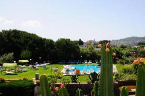 a view of a garden with a swimming pool and cactus at Hotel Belsole in Ischia