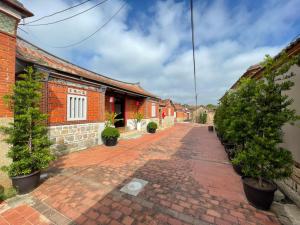 eine Backsteinstraße mit Topfbäumen an der Seite eines Gebäudes in der Unterkunft 金門古寧歇心苑官宅古厝民宿 Guning Xiexinyuan Historical Inn in Jinning